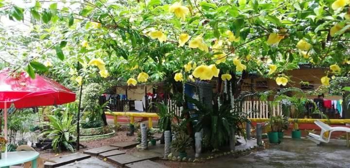 Ennas Place Coron Exterior foto